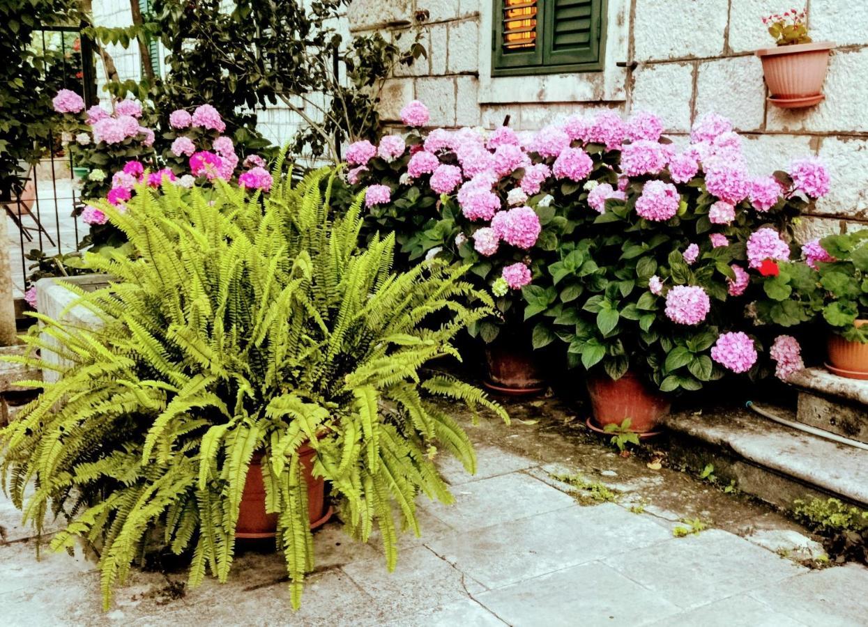 Apartments Sensa Dubrovnik Bagian luar foto